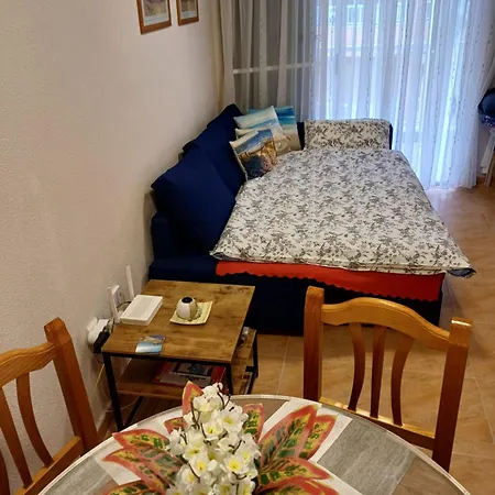 Mona Baltico * Torrevieja