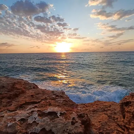 Mona Baltico-traveller Awards 2026 *